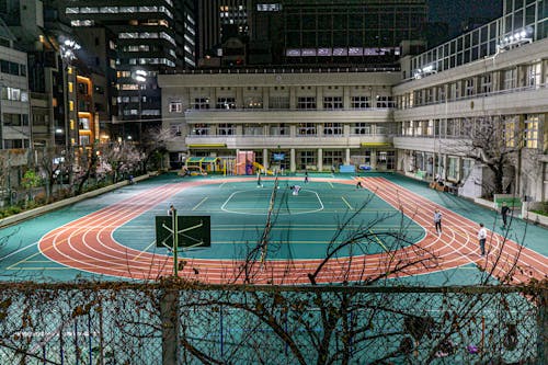 篮球勇士替补球员出色发挥获赞