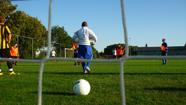 围和新星苏 围和新星苏